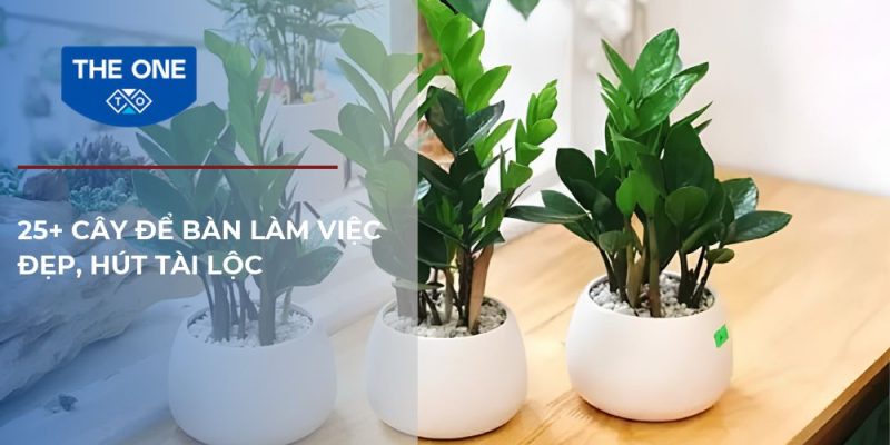 Gợi ý 25+ loại cây để bàn làm việc